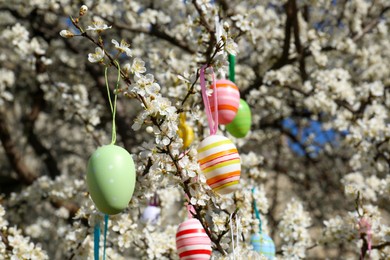 Beautifully painted Easter eggs hanging on blooming cherry tree outdoors