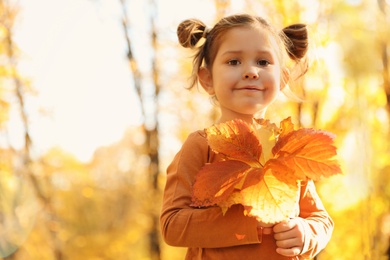 Cute little girl with leaves in sunny park. Autumn walk