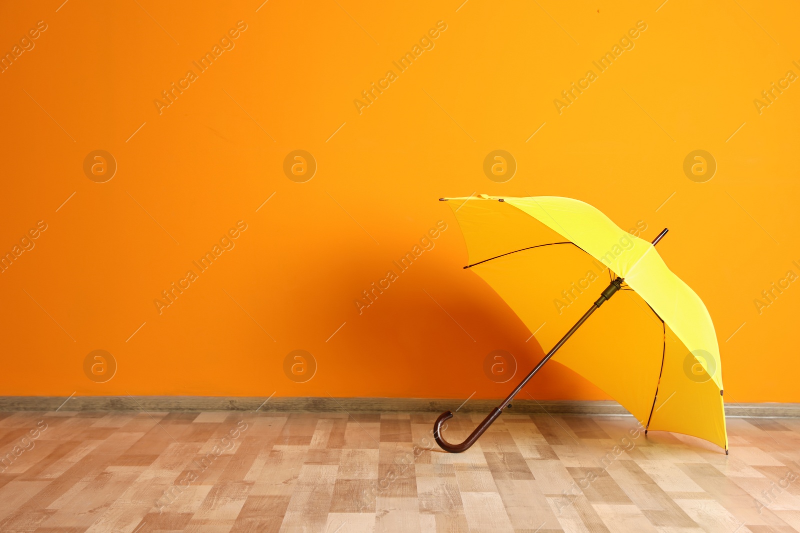 Photo of Beautiful open umbrella on floor near color wall with space for design