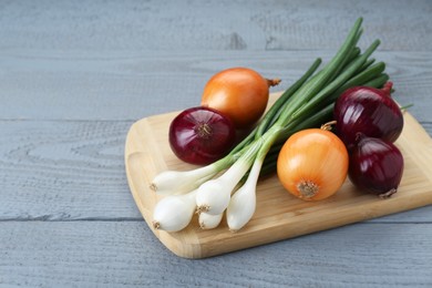 Photo of Board with different kinds of onions on grey wooden table. Space for text