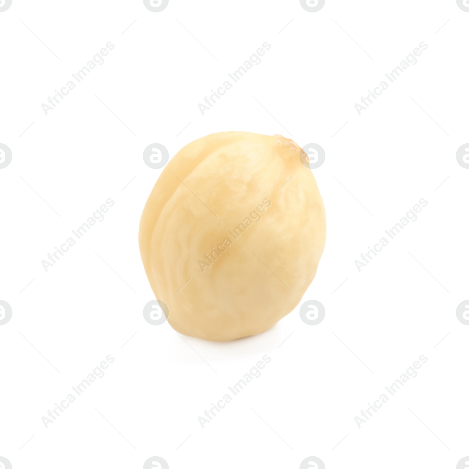 Photo of Tasty organic hazelnut on white background. Healthy snack