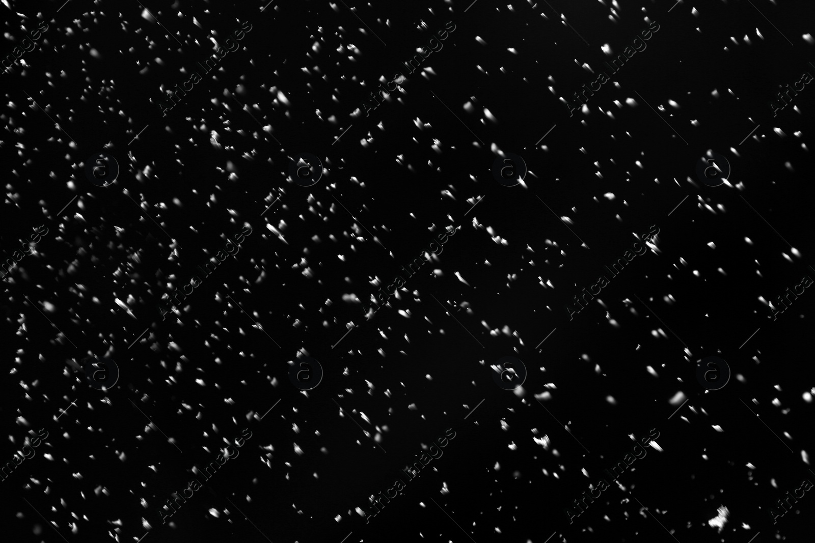 Photo of Snow flakes falling on black background. Winter weather