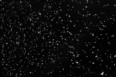 Photo of Snow flakes falling on black background. Winter weather