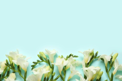 Photo of Beautiful freesia flowers on light blue background, flat lay. Space for text