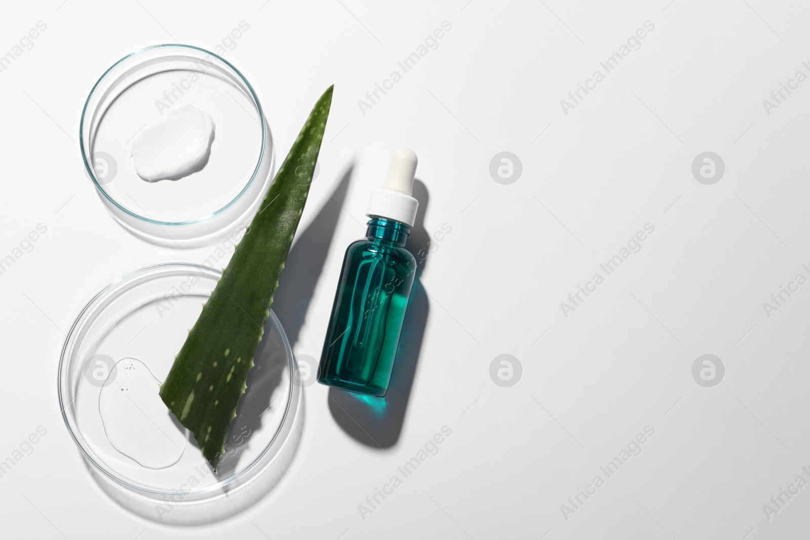 Photo of Bottle of cosmetic serum, aloe vera leaf and petri dishes with samples on white background, flat lay. Space for text