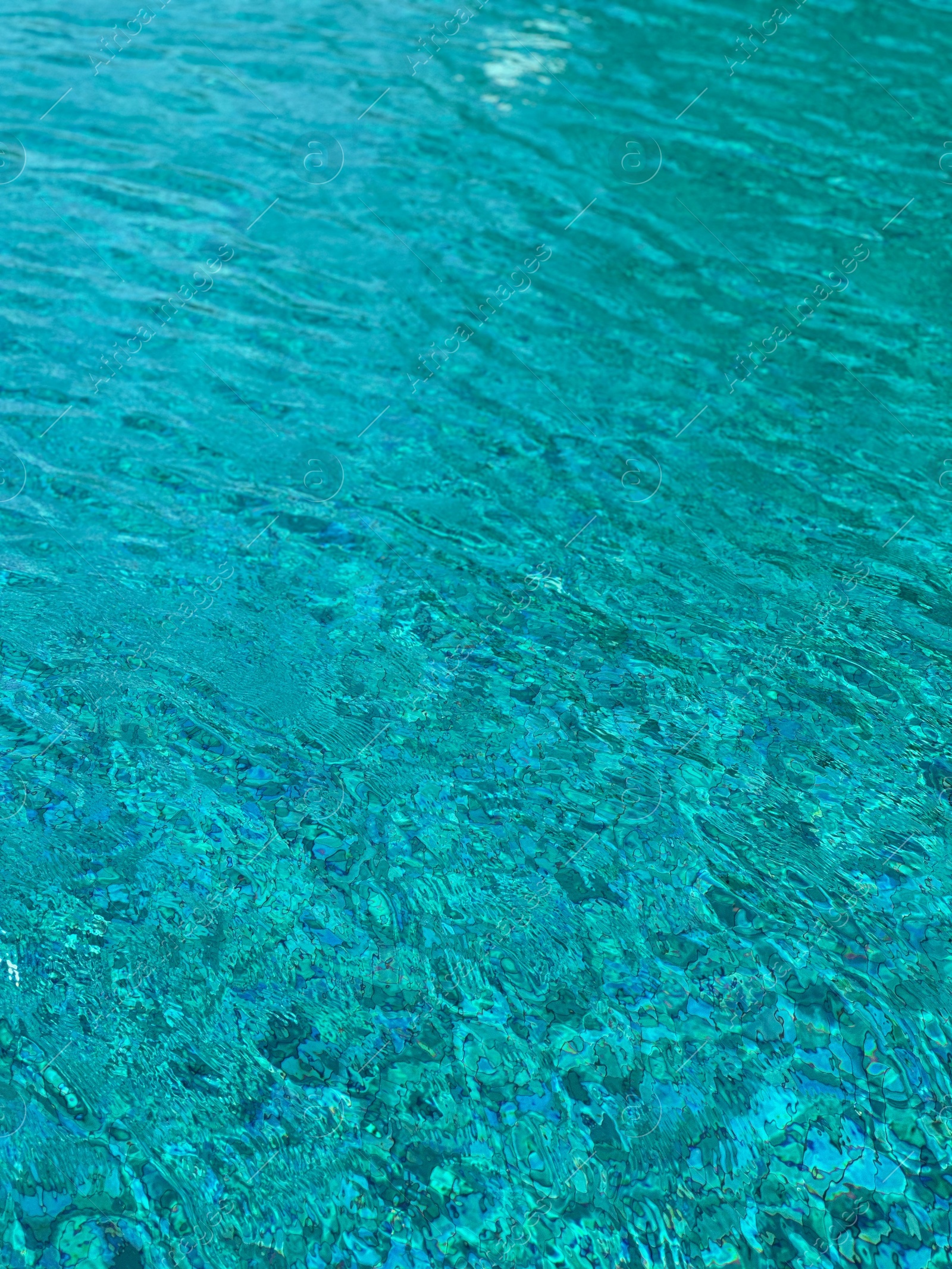 Photo of Clear water in outdoor swimming pool on sunny day