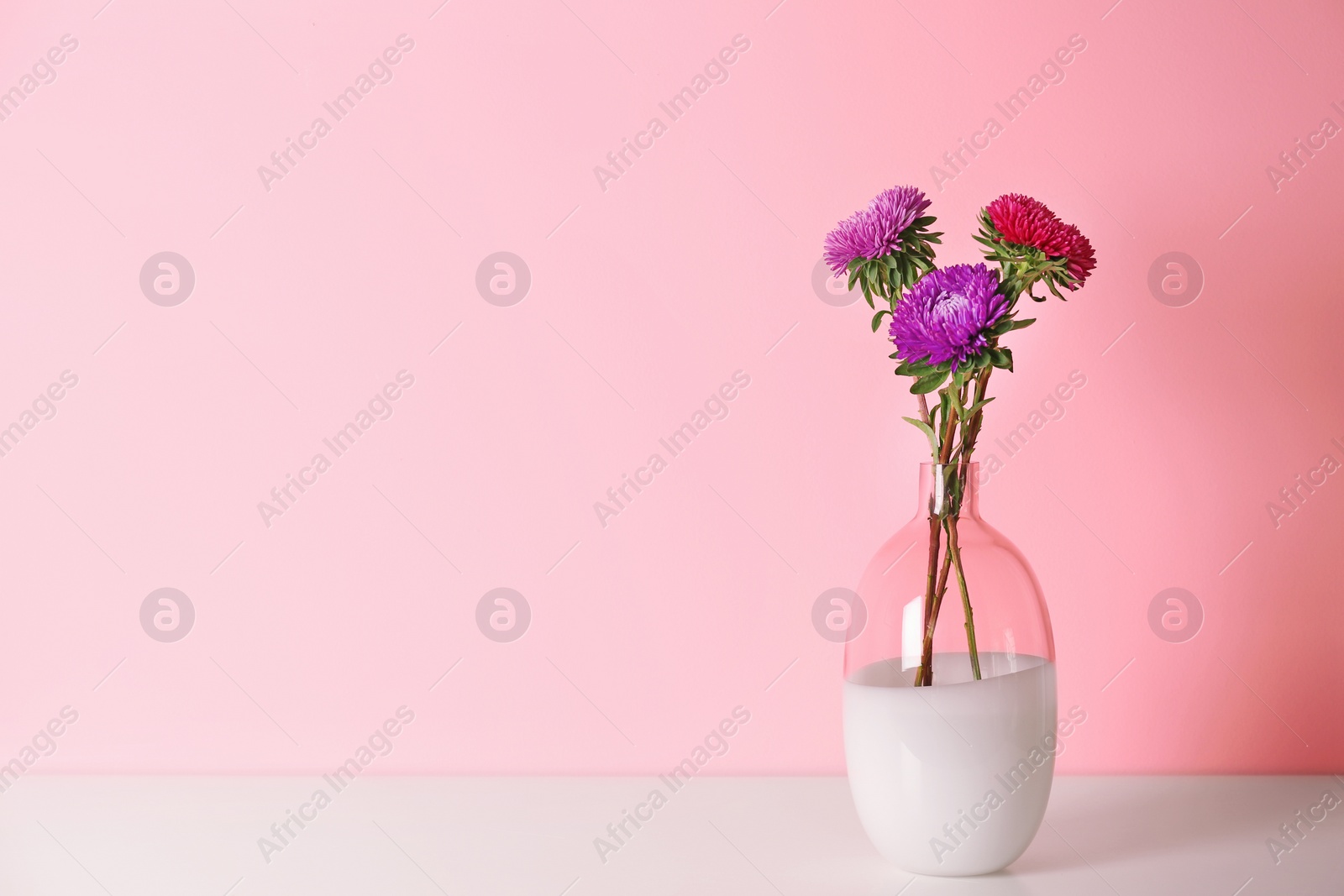 Photo of Beautiful flowers in vase and space for text on color background. Element of interior design