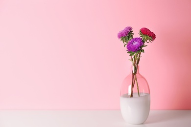 Beautiful flowers in vase and space for text on color background. Element of interior design
