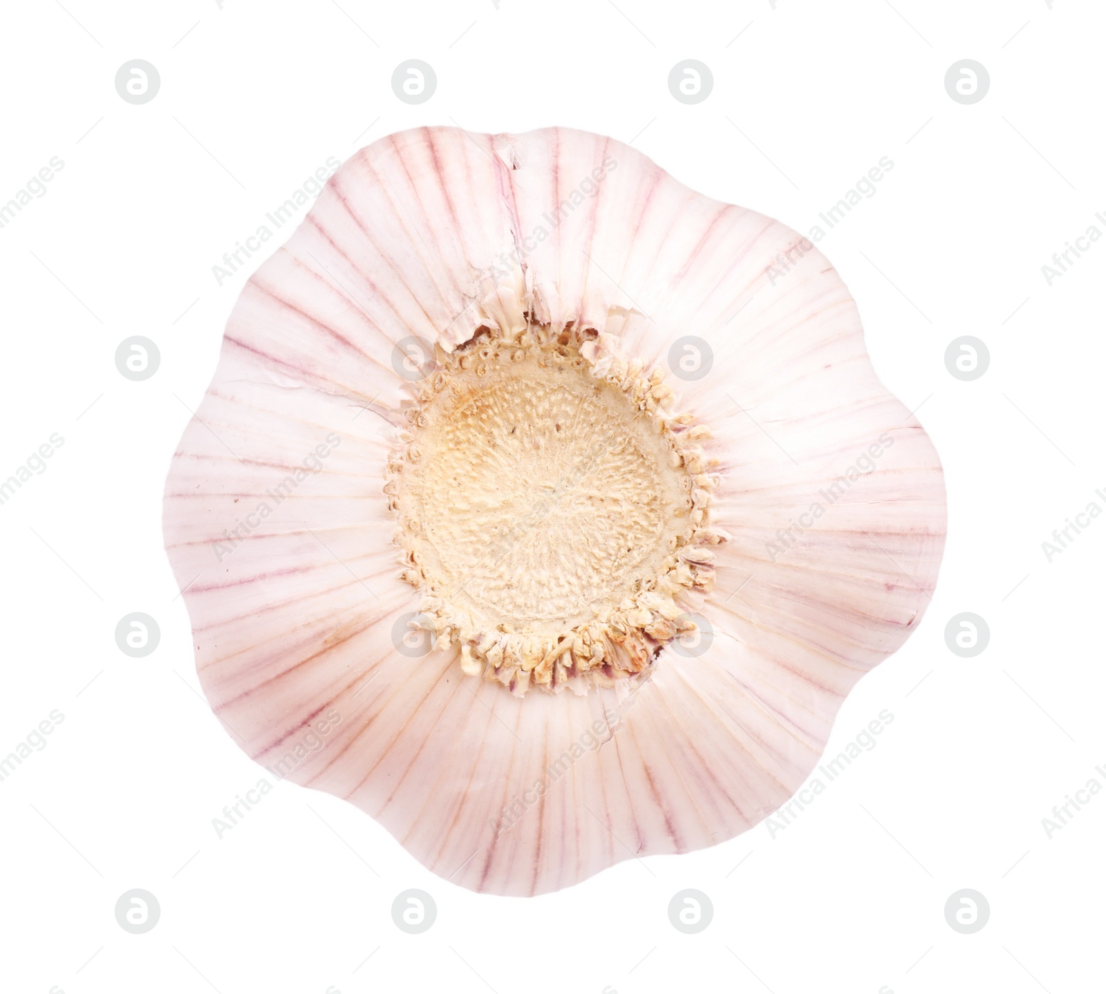 Photo of Head of fresh garlic isolated on white, top view