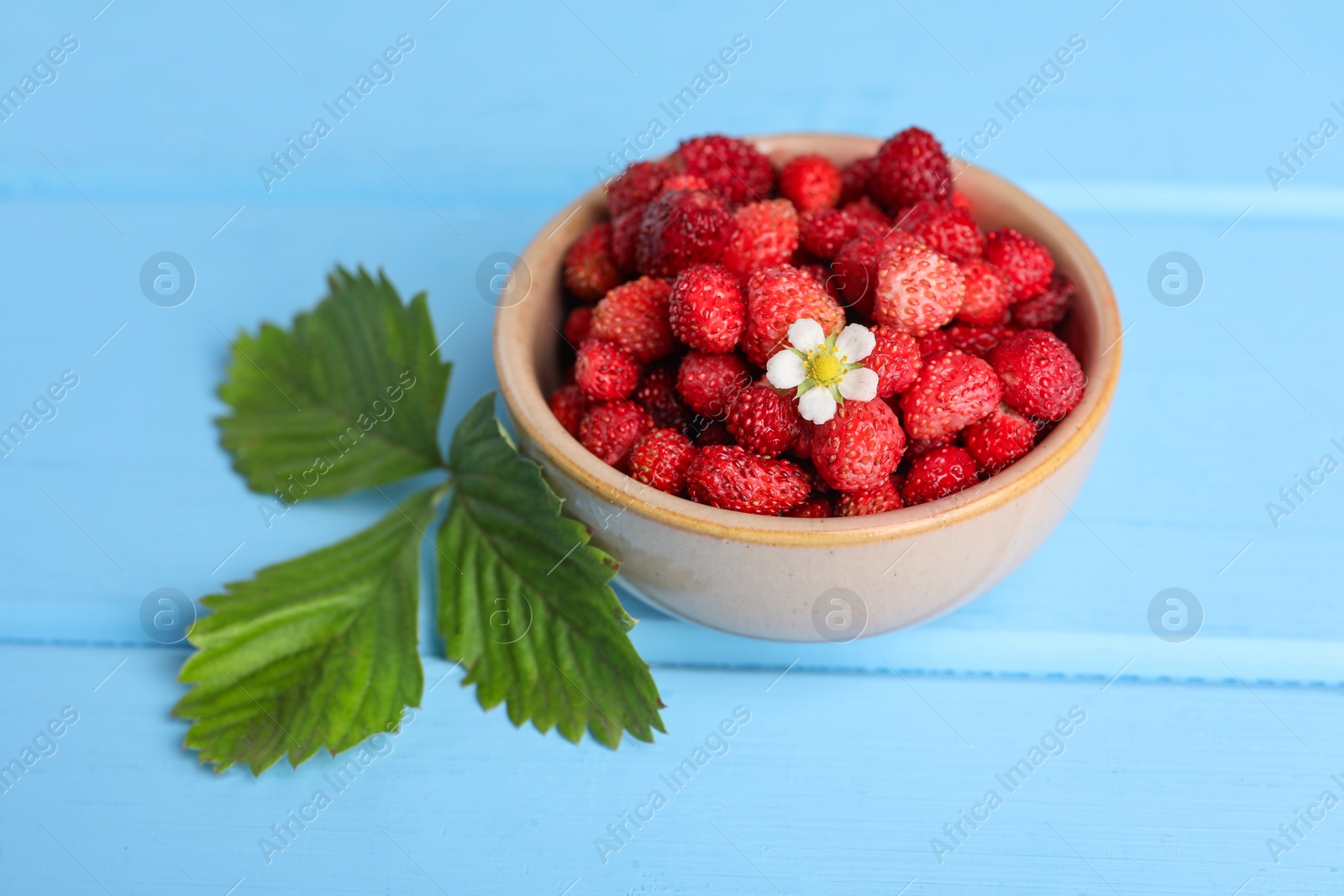 Photo of Fresh wild strawberries and flower in bowl near leaves on light blue wooden table, closeup