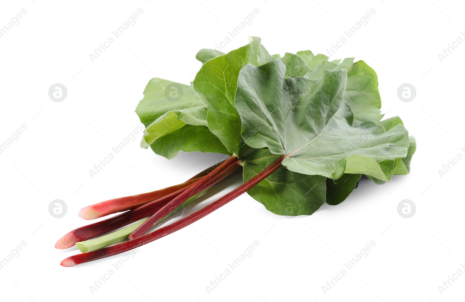 Photo of Fresh rhubarb stalks with leaves isolated on white