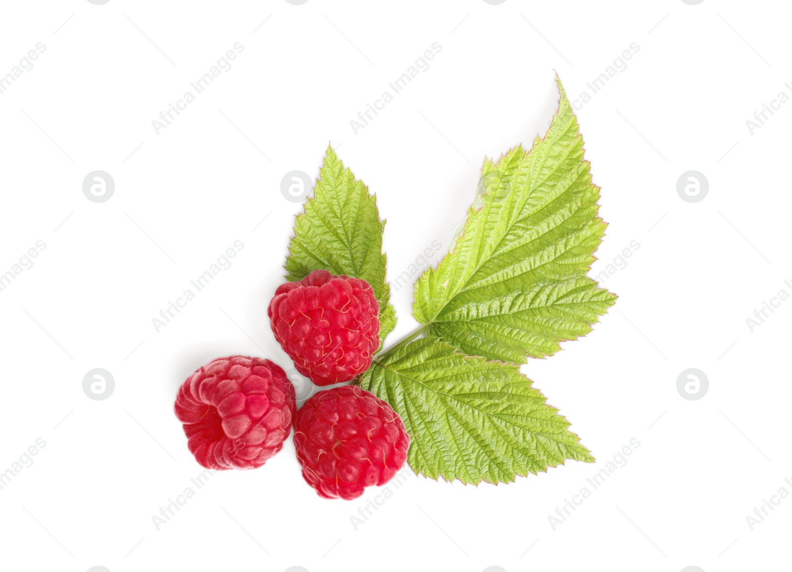 Photo of Fresh red ripe raspberries with green leaves isolated on white, top view
