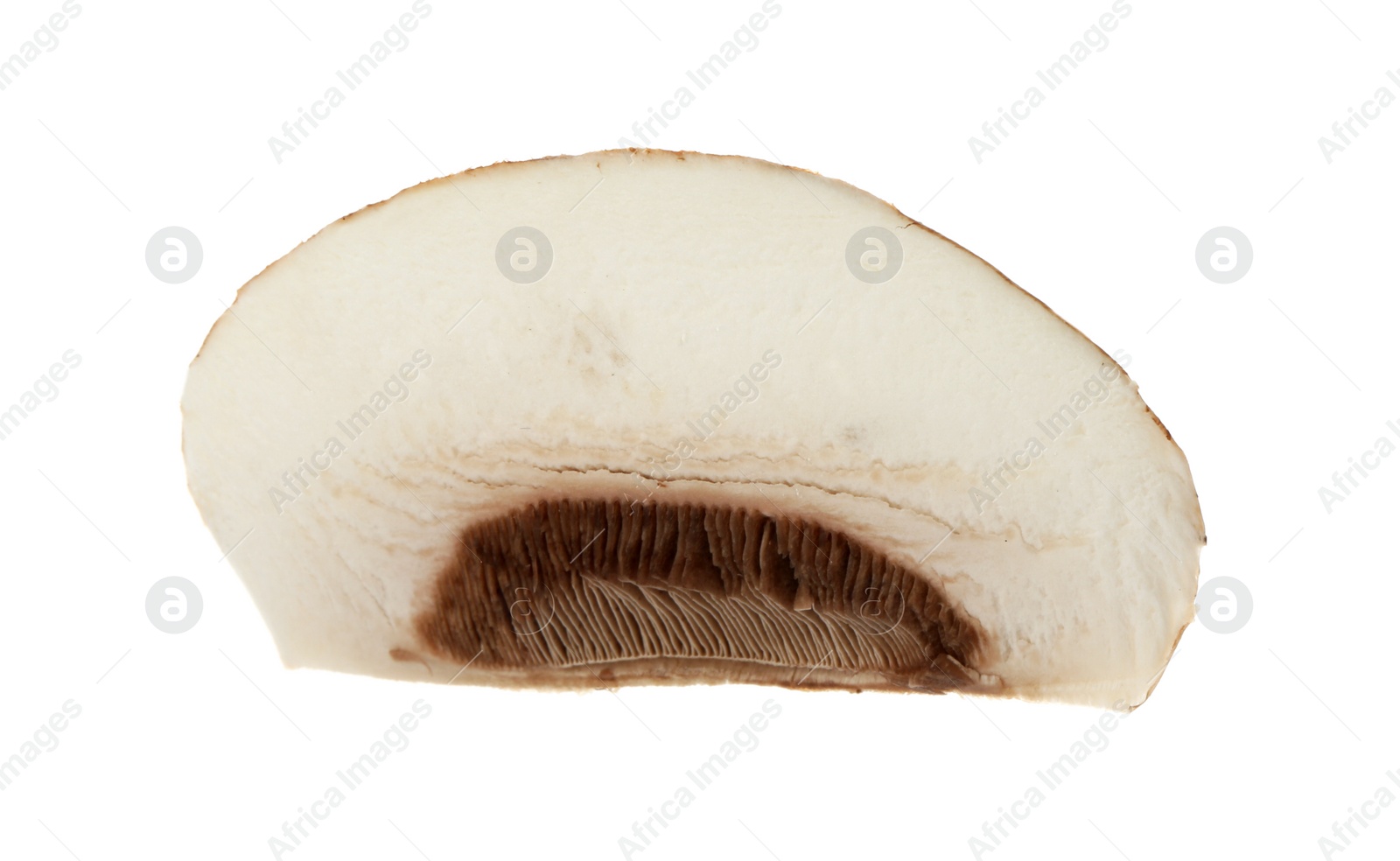 Photo of Slice of raw mushroom on white background