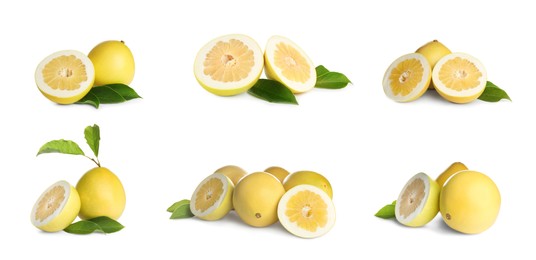 Image of Collage with fresh pomelo fruits on white background