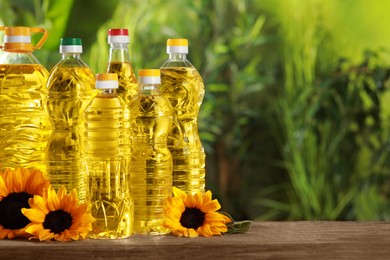 Bottles of cooking oil and sunflowers on wooden table against blurred background, space for text