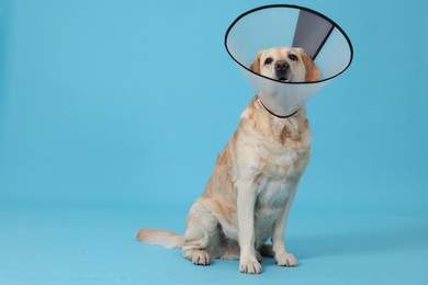 Photo of Cute Labrador Retriever with protective cone collar on light blue background. Space for text