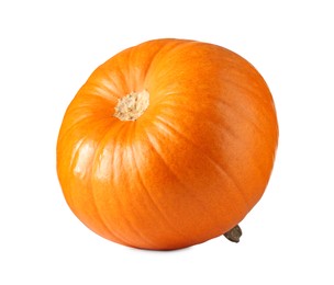 One fresh orange pumpkin isolated on white