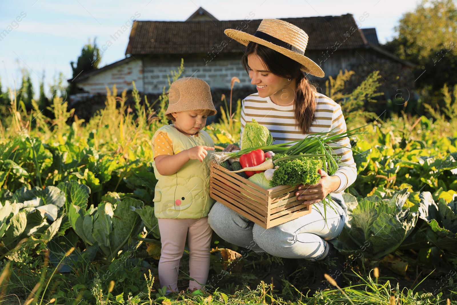 Photo of Mother and daughter harvesting different fresh ripe vegetables on farm