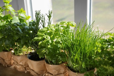 Photo of Different aromatic potted herbs near window indoors, closeup