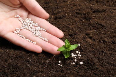 Photo of Woman fertilizing plant in soil, closeup with space for text. Gardening time