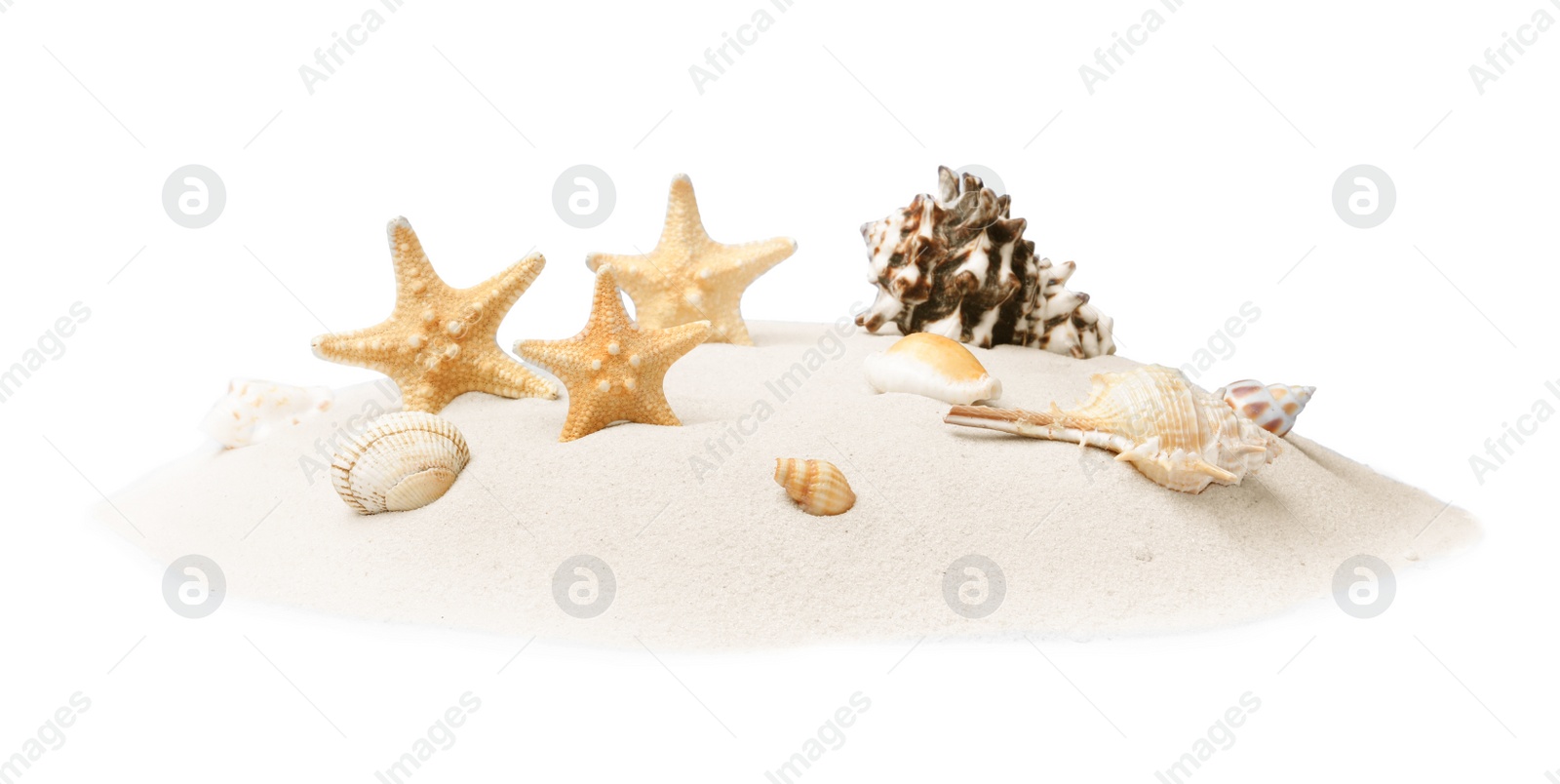 Photo of Beautiful sea stars and seashells in sand on white background