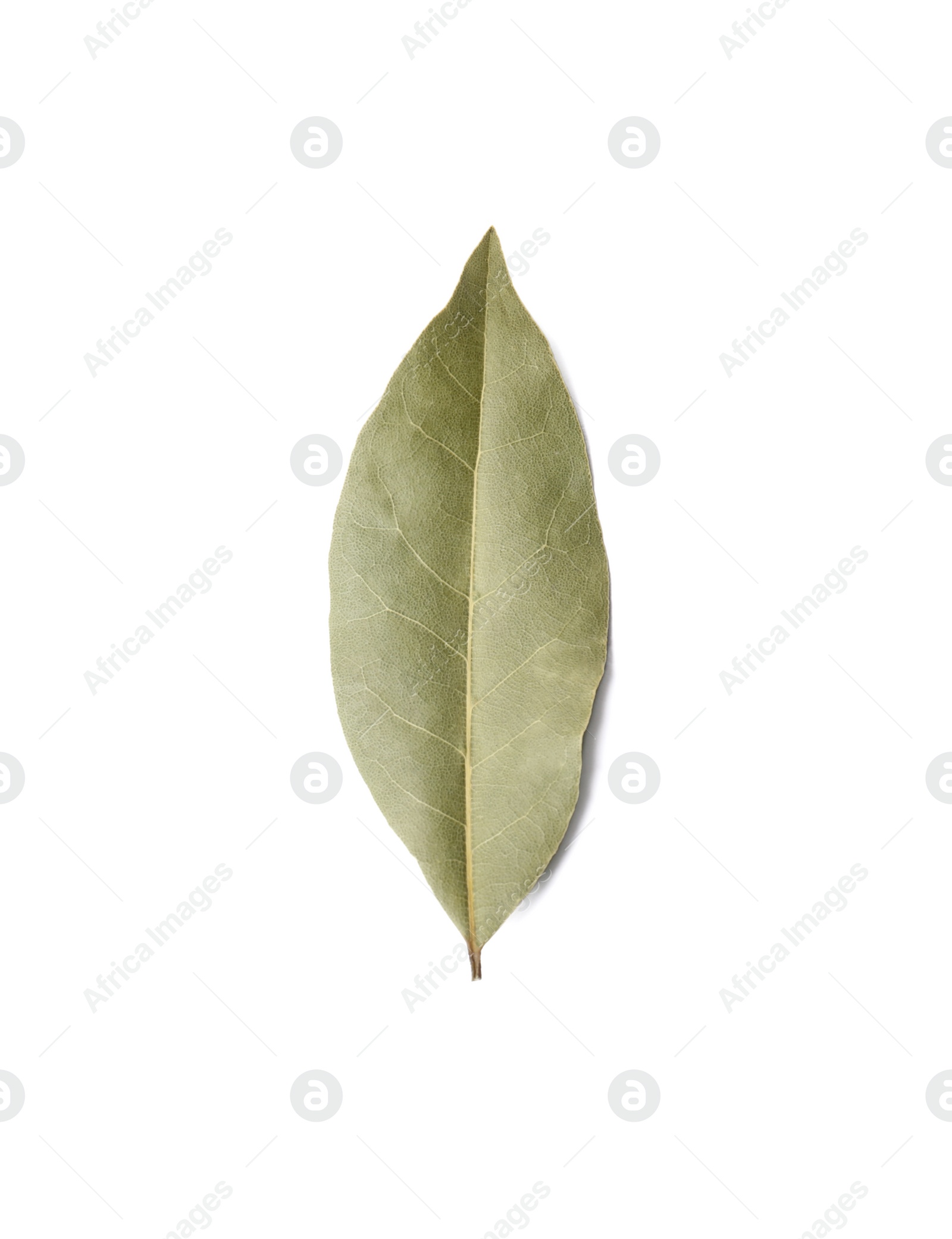 Photo of One aromatic bay leaf on white background, top view