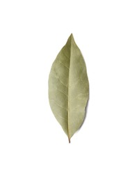 Photo of One aromatic bay leaf on white background, top view