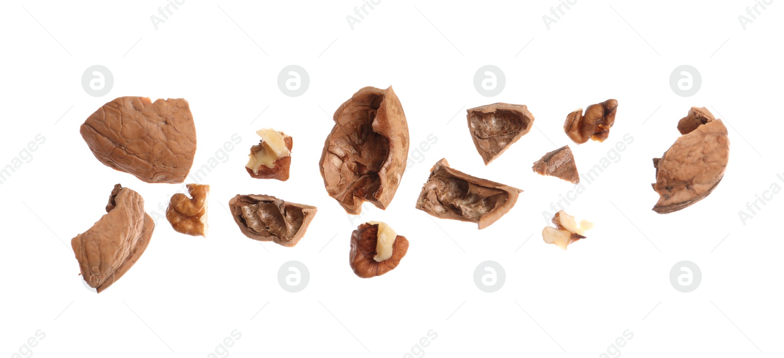 Photo of Pieces of walnut and shell falling on white background