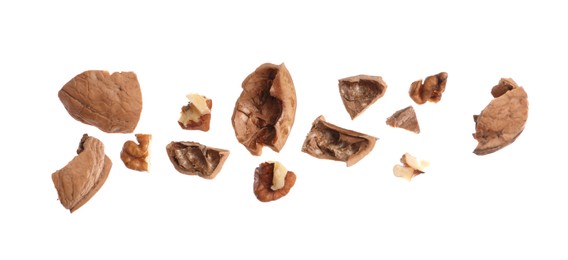 Photo of Pieces of walnut and shell falling on white background