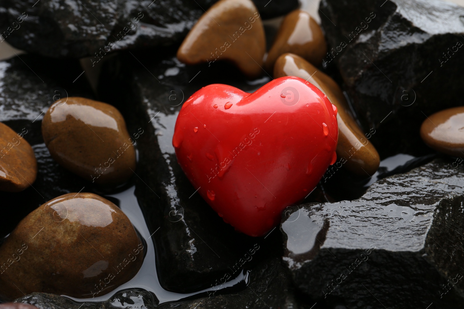 Photo of Red decorative heart on stones and water, closeup