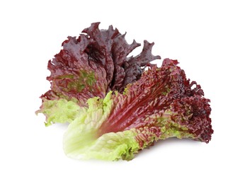 Photo of Leaves of fresh red coral lettuce isolated on white