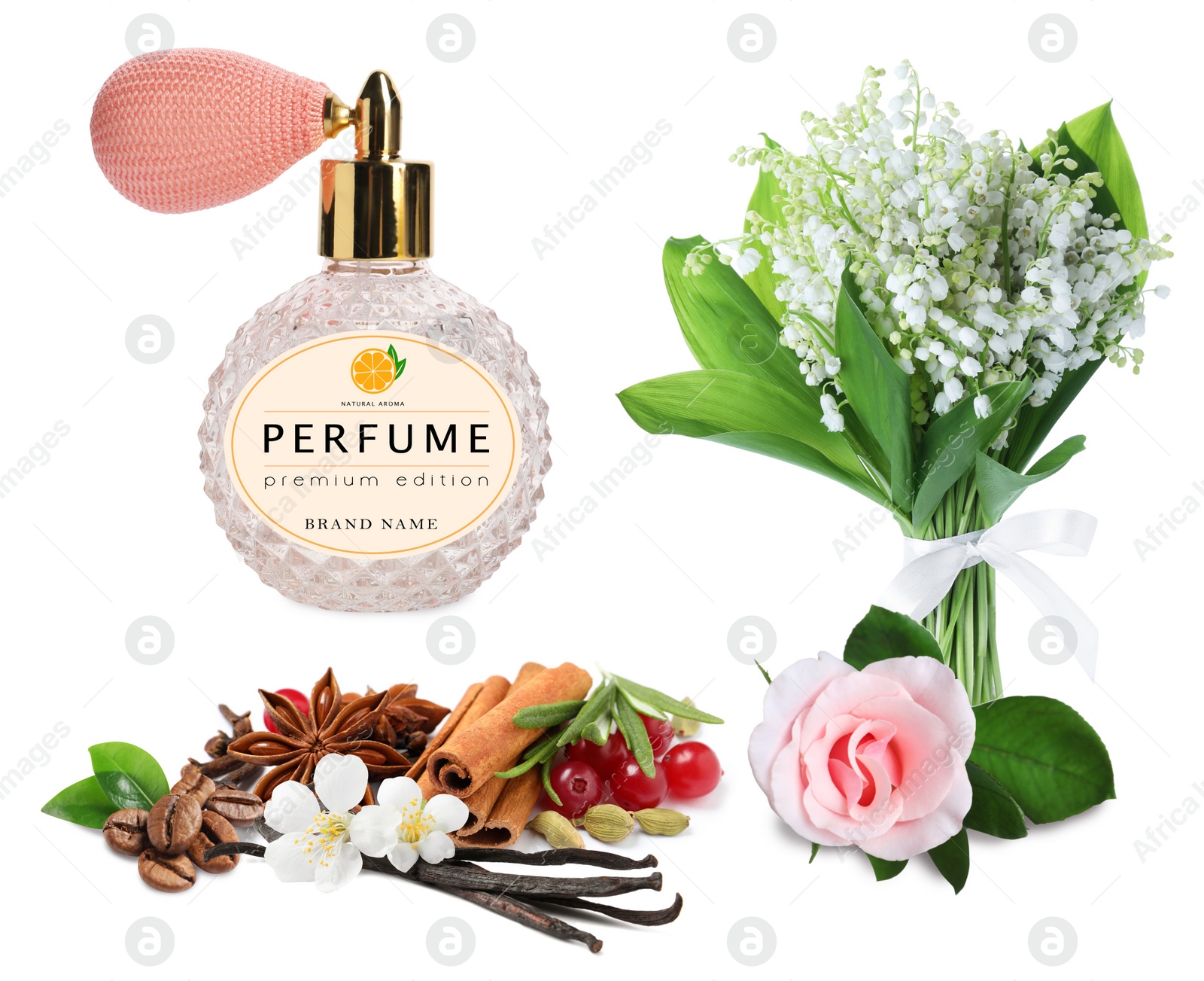 Image of Bottle of perfume, flowers and spices on white background, collage