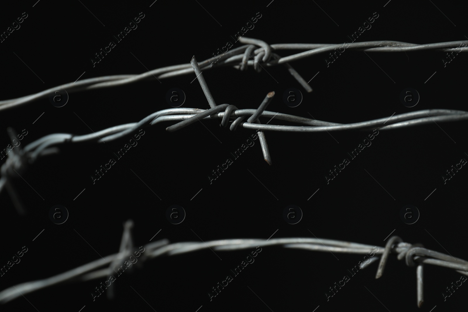 Photo of Shiny metal barbed wire on black background, closeup