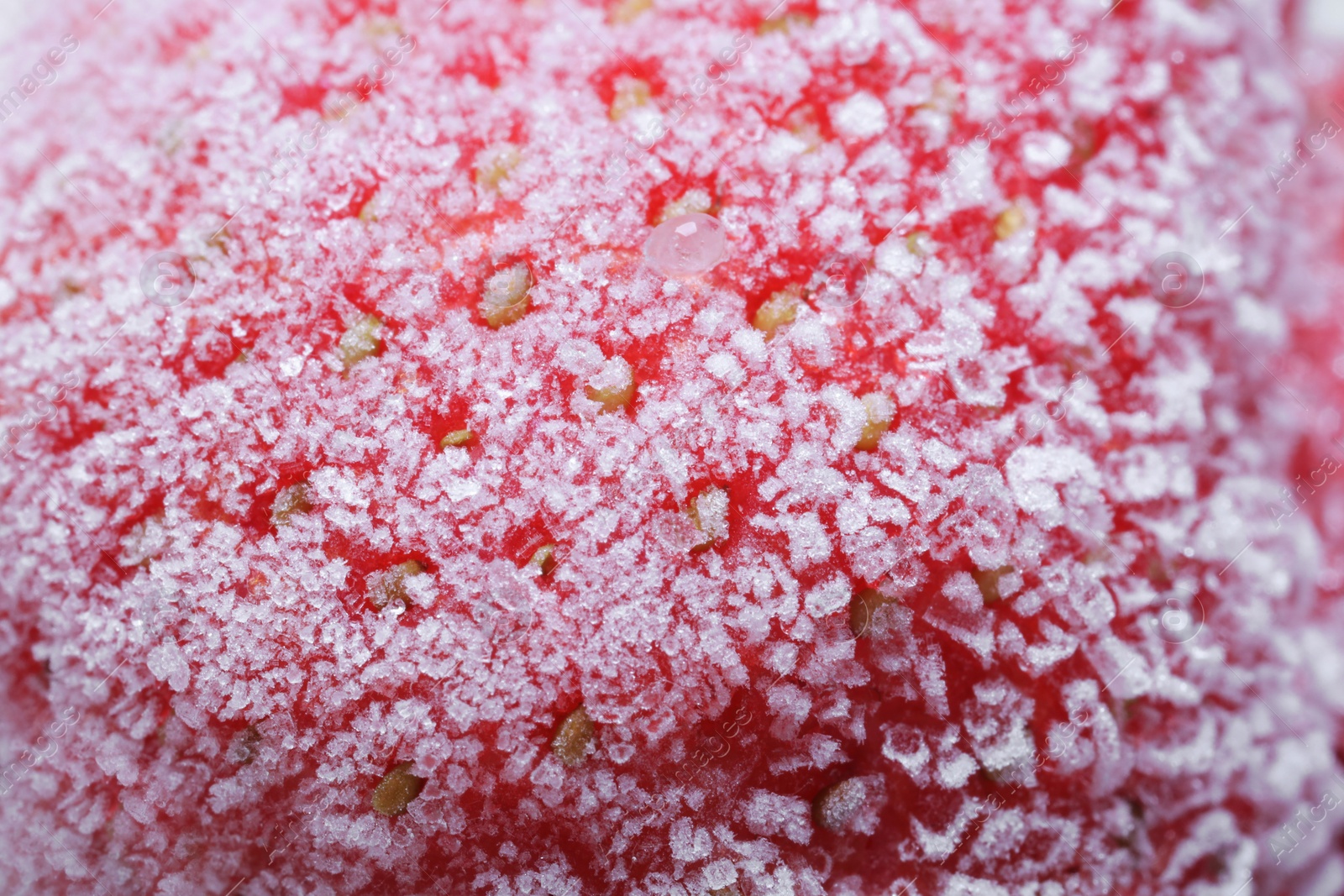 Photo of Texture of strawberry covered with hoarfrost as background, macro view. Frozen berry