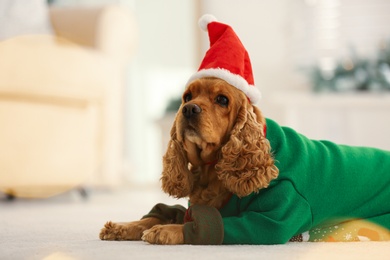 Photo of Adorable Cocker Spaniel in Christmas sweater and Santa hat on blurred background