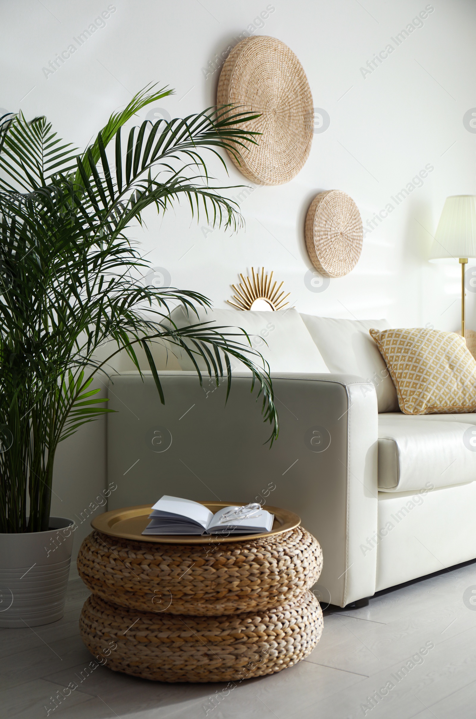 Photo of Beautiful tropical plants with lush leaves in stylish living room interior