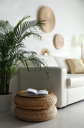 Beautiful tropical plants with lush leaves in stylish living room interior