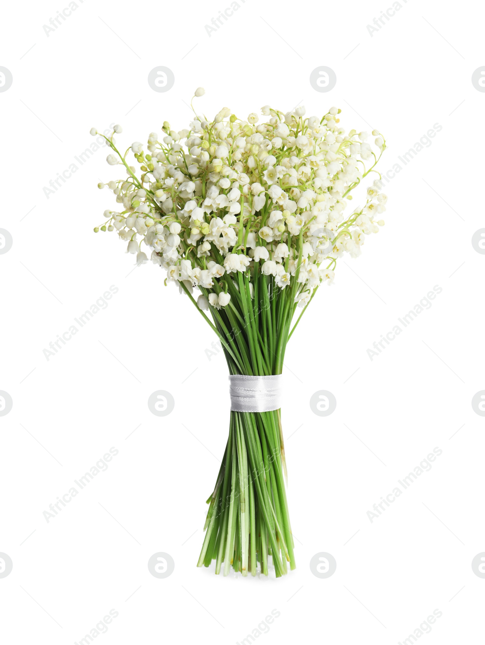 Photo of Beautiful lily of the valley bouquet on white background