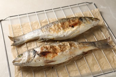 Photo of Baked fish on light marble table, closeup