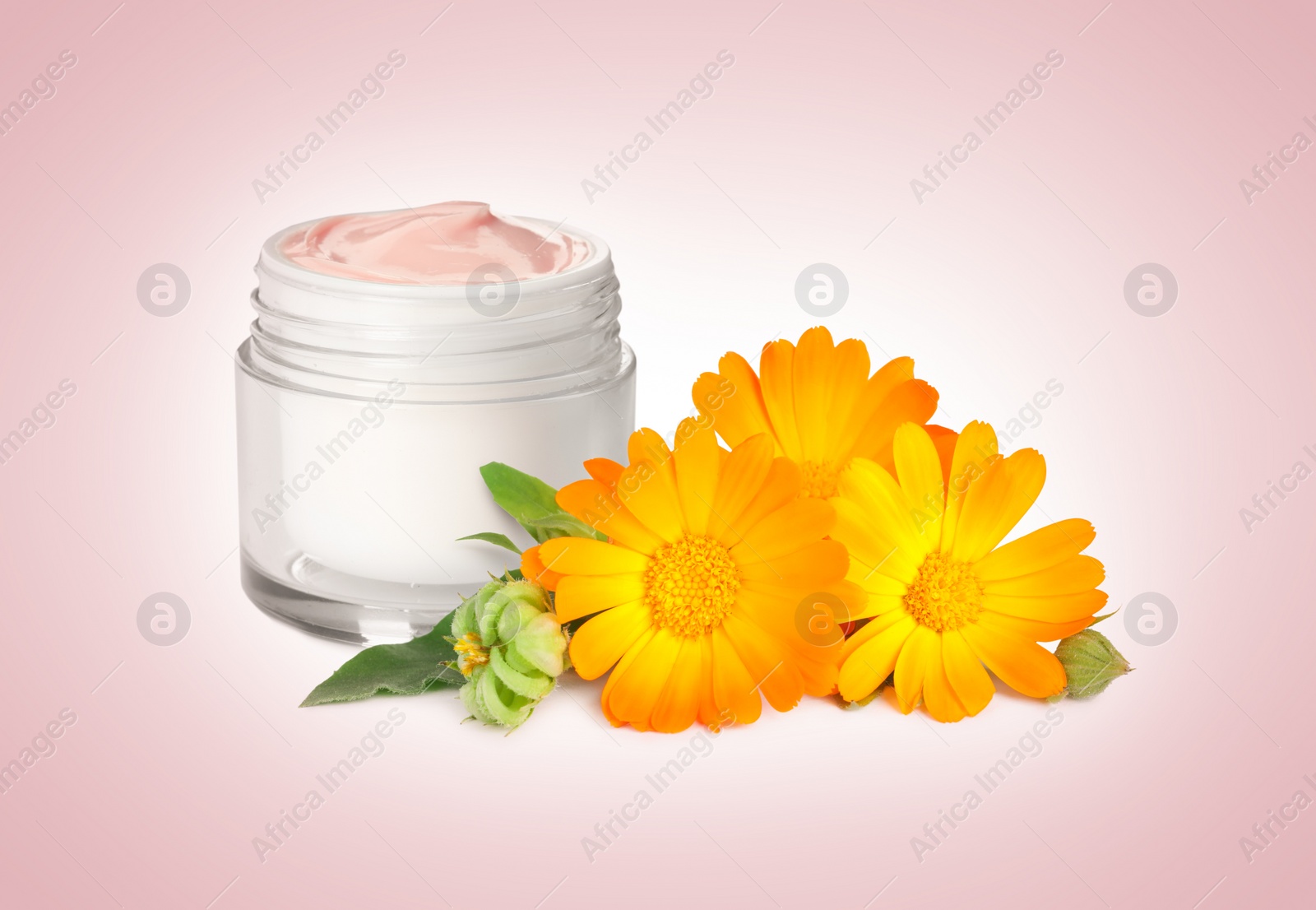 Image of Body cream with calendula extract on pink background. Natural based cosmetic product