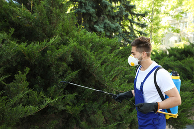 Worker spraying pesticide onto green bush outdoors. Pest control