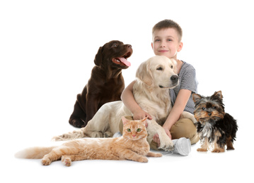 Image of Cute little child with his pets on white background