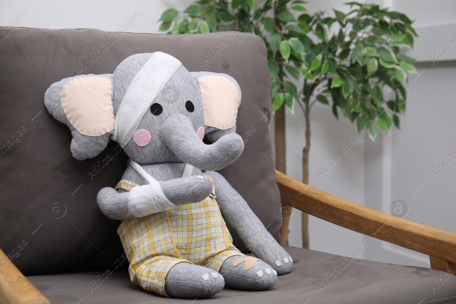 Photo of Toy elephant with bandages sitting in armchair indoors