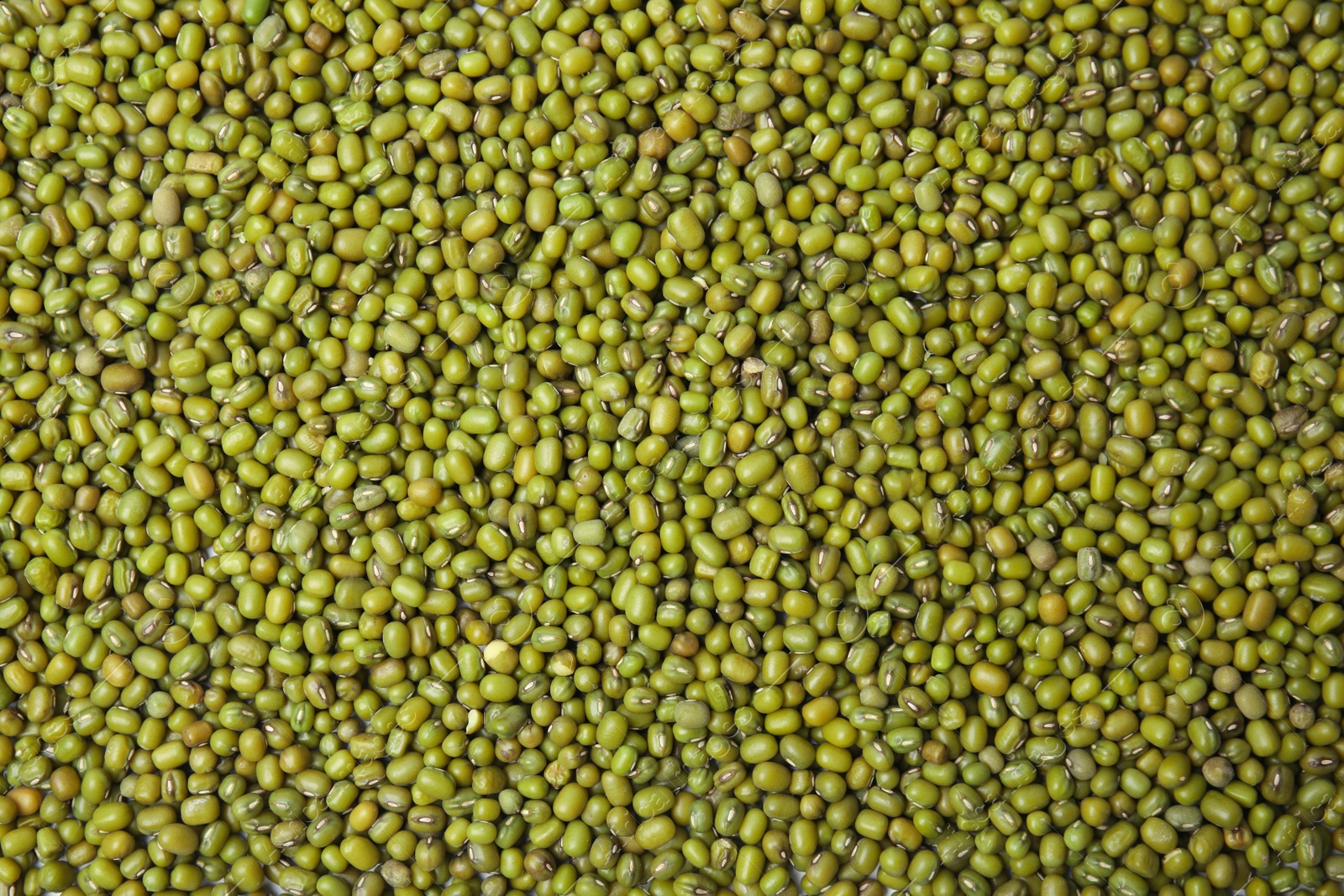 Photo of Green mung beans as background, top view