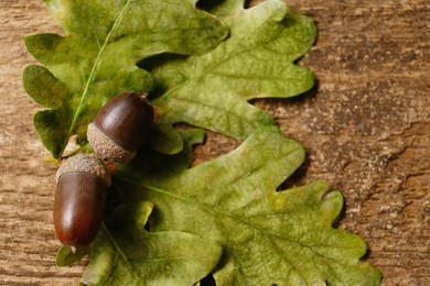 Photo of Acorns with oak leaves on wooden table, top view. Space for text