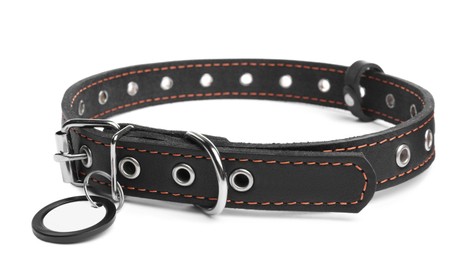 Photo of Black leather dog collar with tag isolated on white