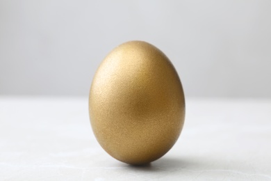 One shiny golden egg on light background