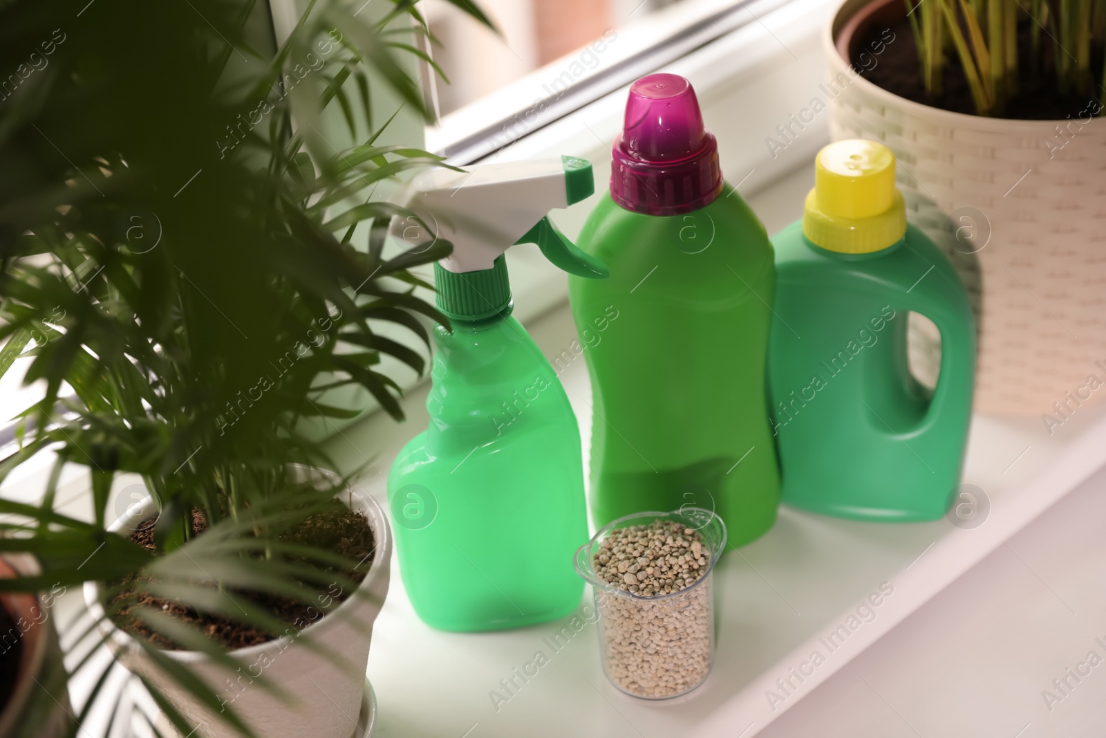 Photo of House plants and different fertilizers on white windowsill indoors