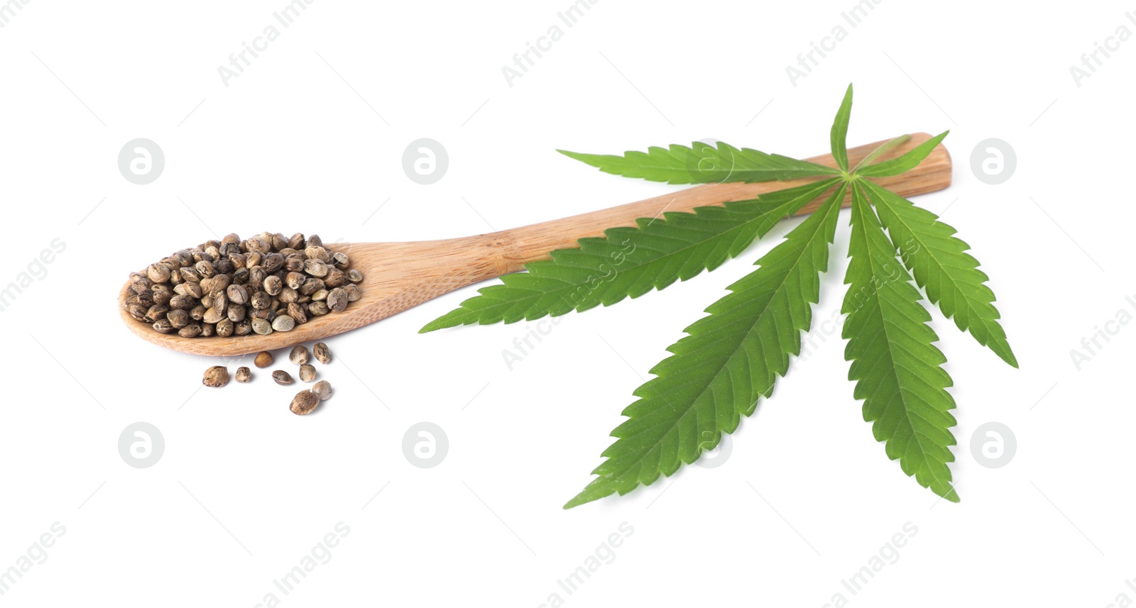 Photo of Fresh green hemp leaf and spoon with seeds on white background