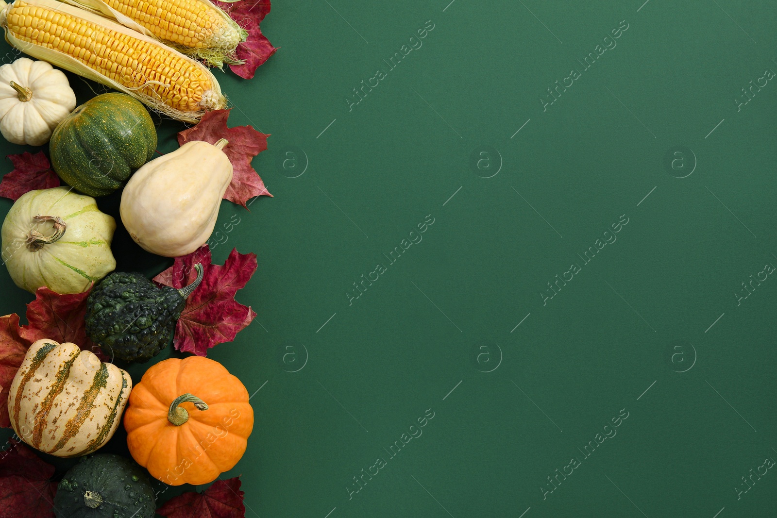 Photo of Happy Thanksgiving day. Flat lay composition with pumpkins on green background, space for text